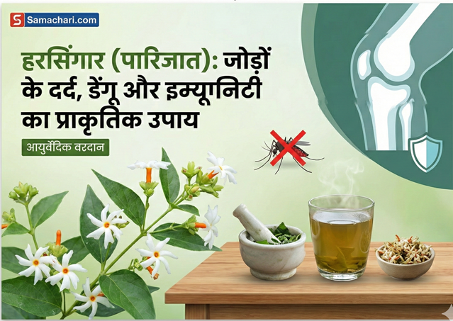 हरसिंगार (पारिजात) के चमत्कारिक फायदे: जोड़ों के दर्द और डेंगू बुखार का अचूक आयुर्वेदिक उपाय!